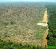 MIDDLE LAND, STATE OF PARA, AMAZON, BRAZILSeptember, 2004Illegal deforestation and land grabbing (grilagem) in the Middle Land, State of ParaÌÂ© Greenpeace/ Alberto CeÌsarGREENPEACE HANDOUT - NO RESALE - NO ARCHIVE - OKFOR ONLINE REPRO - CREDITLINE COMPULSORY